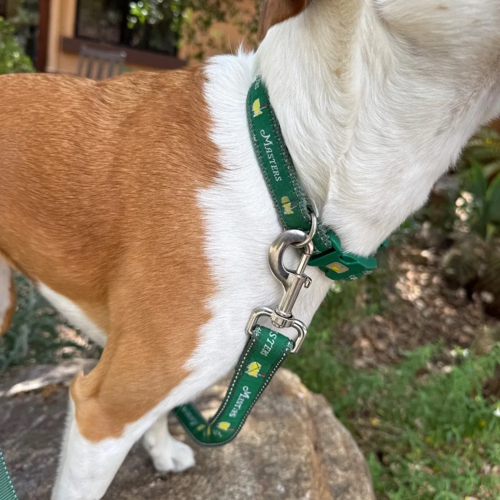Masters Golf Tournament Dog Collar Small‎ 10-15